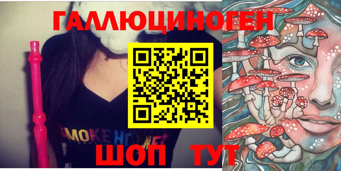 Псилоцибиновые грибы Magic Shrooms  Вход с VPN  Краснознаменск  Псилоцибиновые грибы Magic Shrooms 
